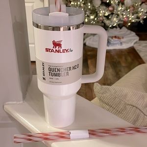 Holiday Stanley Cup - Mistletoe Twist 40oz